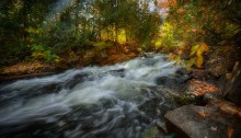 Transparent Autumn @ Blakeney Rapids / Mississippi Mills