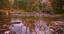 Transparent Autumn / Mississippi Mills