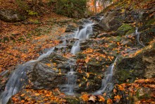 Sentier de la Chute / Sentier de la Chute