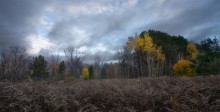 Mer Bleue Bog / Mer Bleue Bog