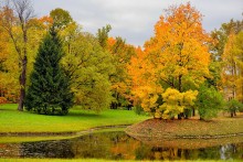 Екатерининский парк / Осень