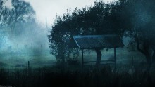 Туман / беседка,туман,дерево