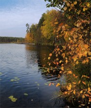 В интерьере осени / В сентябре