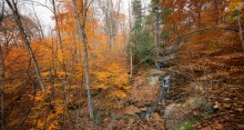 Sentier de la Chute / Sentier de la Chute