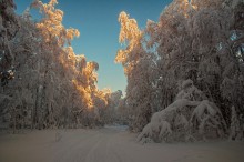 Зимняя сказка / После снегопада