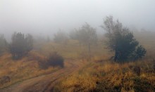 Горная дорога / Южный Демерджи. Крым
