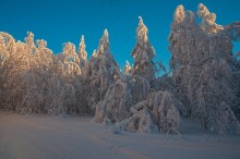 Снежные кружева / Зимнее волшебство