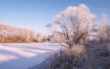 Первые морозы / &quot;... и первые морозы, и отдаленные седой зимы угрозы...&quot;