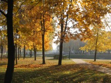 Туманное утро золотой осени / Гомель, парк