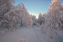 Зимня дорога / Зима вступила в свои права