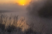 Холодное утро / Фотография сделана прохладным осенним утром по дороге на рыбалку !!! Пробуждение ото сна ...