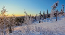 Зимнее утро / Солнечное утро на горе