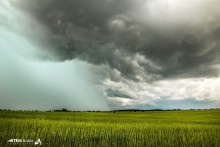 Перед сильным ливнем! / Ох и сильный же был ливень!! попал тогда под него, и сильнейшая гроза!