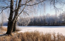 Зимний пруд / Первые морозы