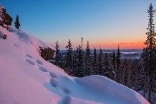 Розовый снег / Снег в лучах восходящего солнца