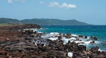 Friendly coast of Roatan / Friendly coast of Roatan