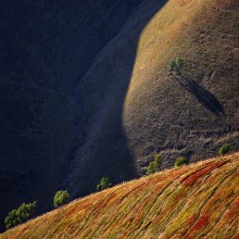 &nbsp; / в последние дни осени...