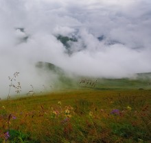 В утреннем тумане / ...