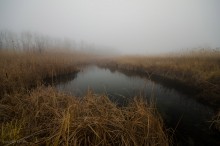 Туманный день / Краснодарский край