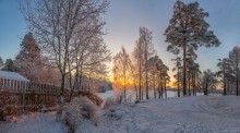 Зимний рассвет. / Санкт-Петербург. Парк около Озерков.