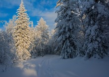 Уральская зима / Морозный день