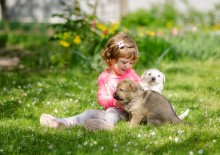 детский мир / девочка играет со щенками