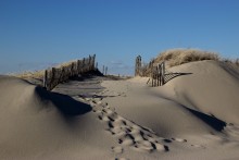 The coastal dunes(Прибрежные дюны) / ***