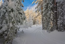 Крутой поворот / Зимняя дорога