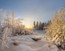 Зимний вид. / Ленинградская область.