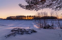 &nbsp; / Нижегородская