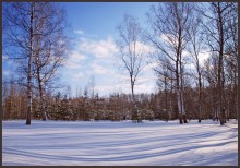 Зимняя поляна / Зима в лесу