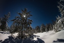 Лунная ночь / 7D + Peleng 8mm, Архангельская область, поселок Кулой.