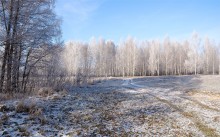 В декабре / Начало зимы