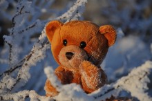 Игрушка / Медведь в снегах