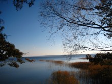 осенним днем... / осенним днем на озере Нарочь