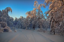 Вечерний свет / Перед закатом