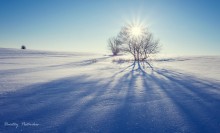 Игра света и тени. / Ясным морозным днём среди бескрайних полей Ярославской области.