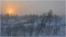 То, что мы так долго ждали / Таймыр. Конце месяца и в ясную погоду в небе долгожданное солнце, проснувшееся после полярной ночи t-48C