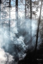 долгожданное Солнце! / Экспедиция в Грудиновку