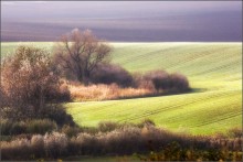 Южная Моравия / Чехия. Южно-Моравский край.

октябрь 2014г