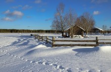 На краю поля... / февраль 2015 года, Вологодская область...