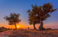 Утреннее сообщение / Фотография сделана в селе Герибляр Масаллинского района Азербайджана, где я летом отдыхал с друзьями. Рано утром я с другом пошли фотографировать рассвет. Когда я делал этот кадр, он писал сообщение на телефоне.