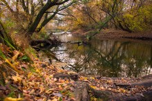 Осенним утром / Осень на реке Сха