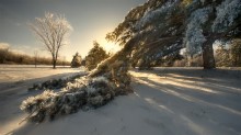 ... heavy burden / Aviation parkway