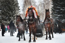Тройка гнедых / Масленица 2015