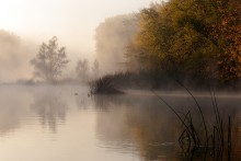 Сонный Gipanis. / Природный национальный парк &quot; Бугский Гард.&quot; Река Южный Буг. Украина.