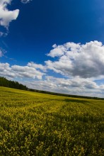полет / белорусь поле облока