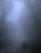 Сельский Байкер / утро, туман, село, дед мотоциклист