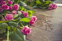 Розы / Ходил на фоторепортаж в Волгоградский розарий. Среди всего прочего, сделал такой кадр на сортировке роз.