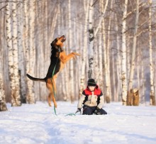 левитация / каждая собака обожает летать за снежинками ))